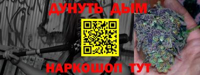 шишки Жуковский