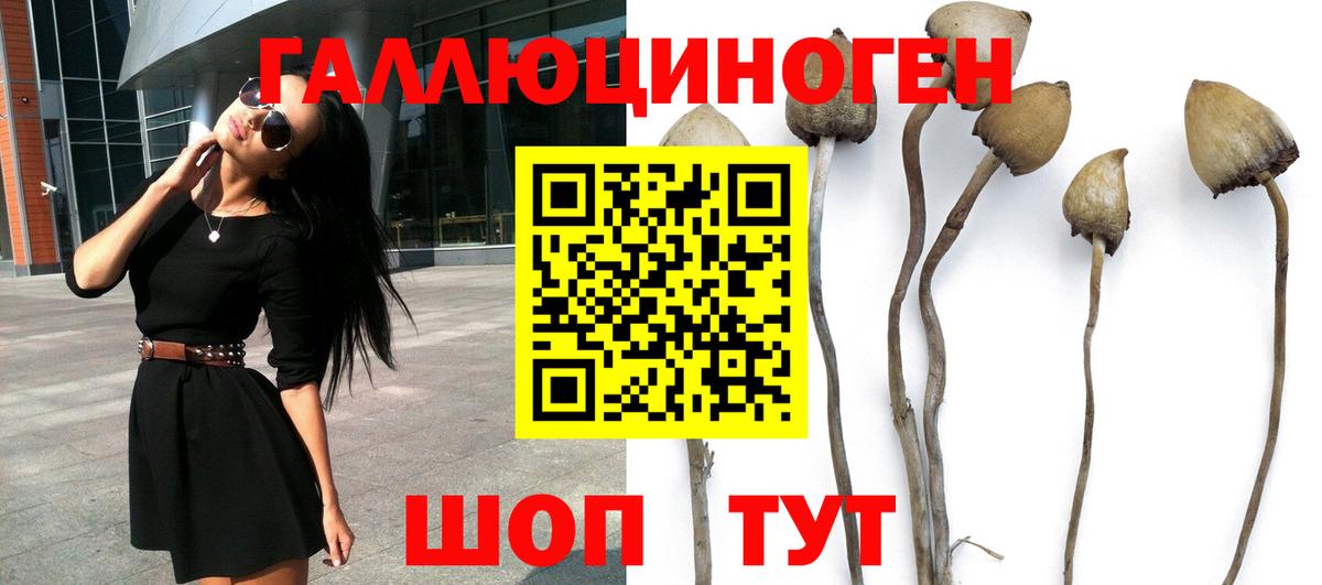 Псилоцибиновые грибы Magic Shrooms Муравленко