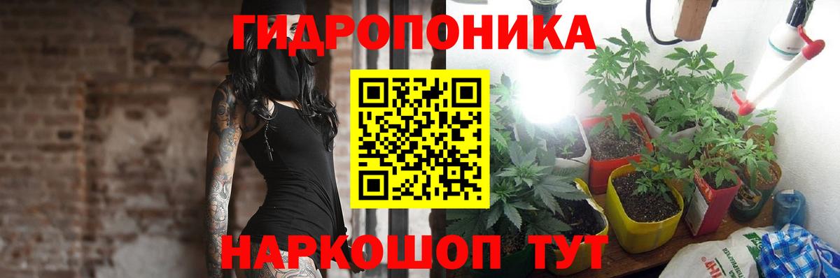 Канабис марихуана Муравленко